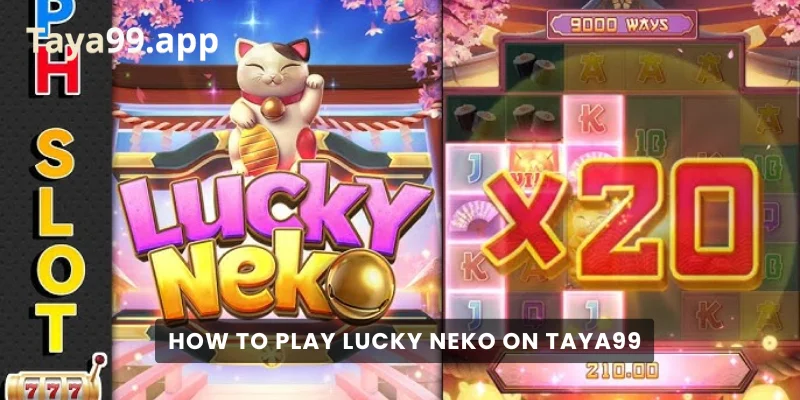 How to Play Lucky Neko on Taya99