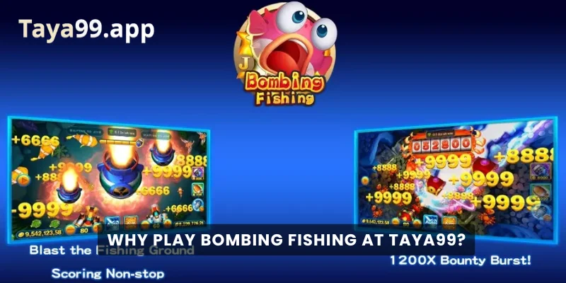 Why Play Bombing Fishing at Taya99