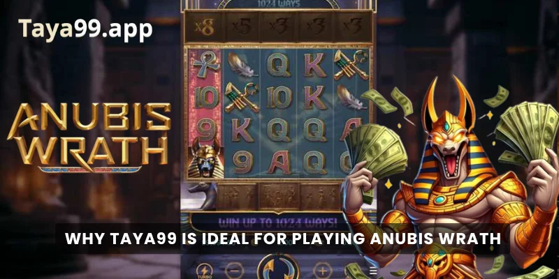 Why Taya99 Is Ideal for Playing Anubis Wrath